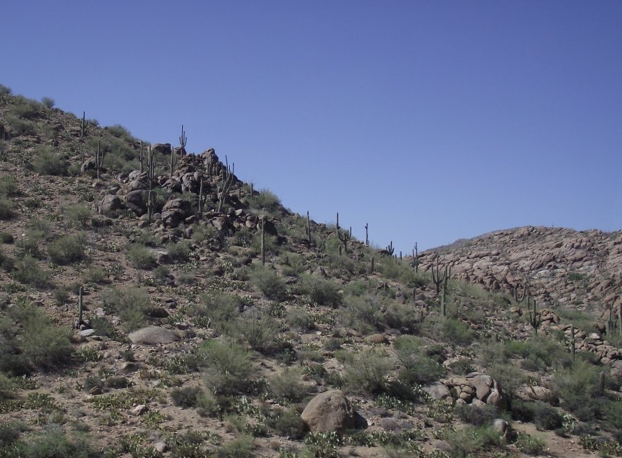 Prescott Arizona Mining Conference